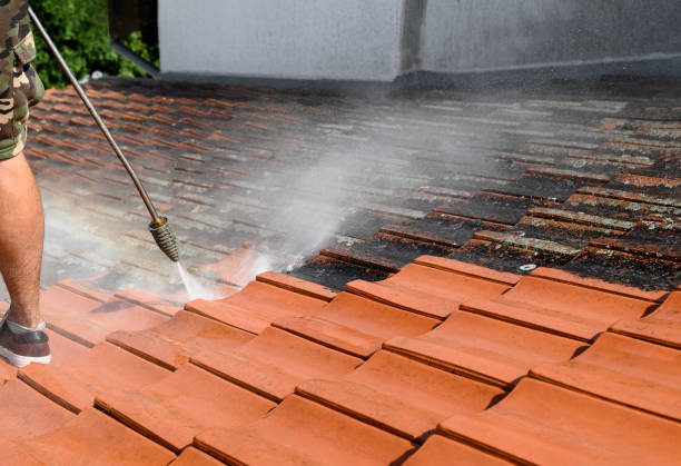 Best Exterior Home Cleaning  in , OK